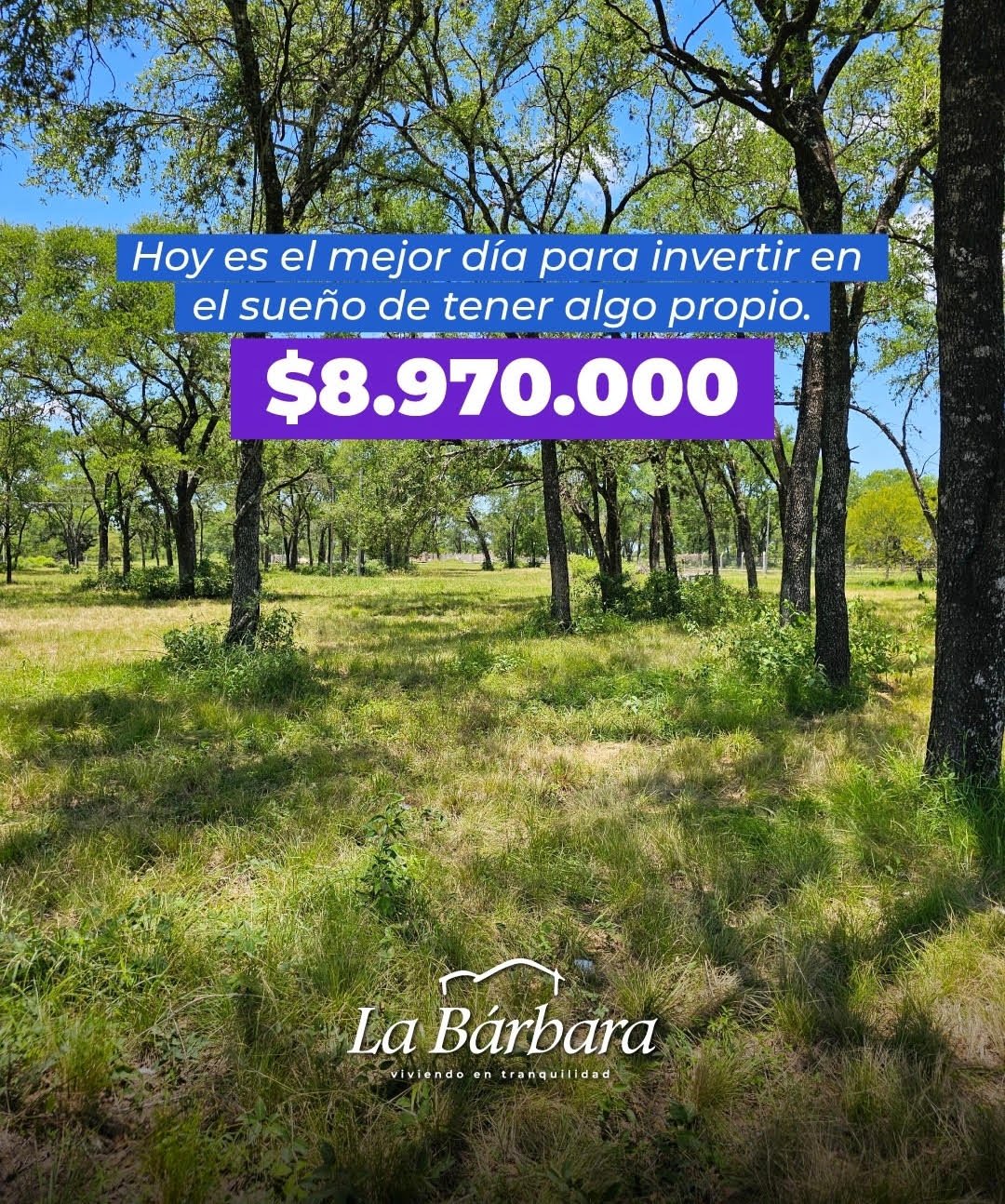 Oportunidad Única La Bárbara